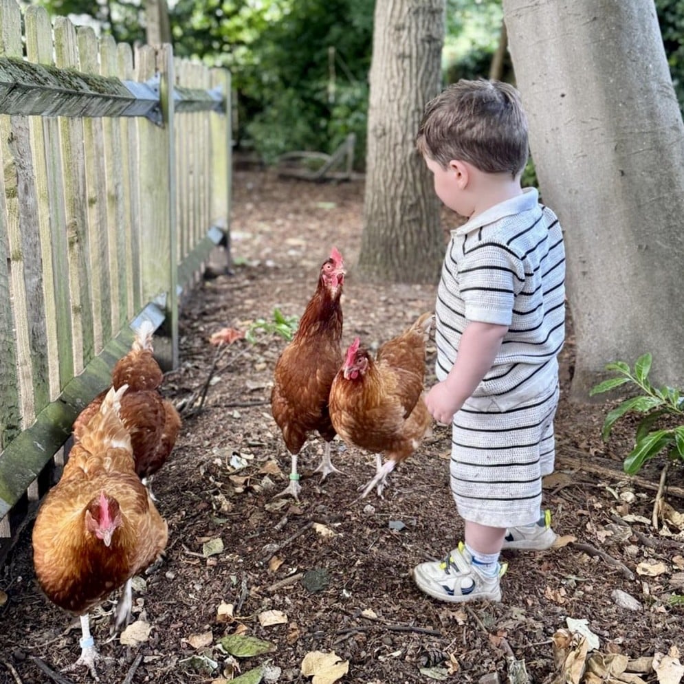child with chickens